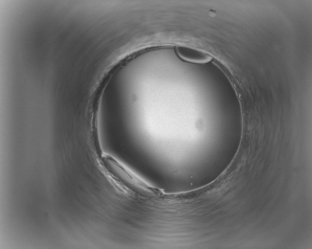 X0000073421507200608111337