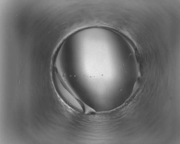 X0000073421508200608111337