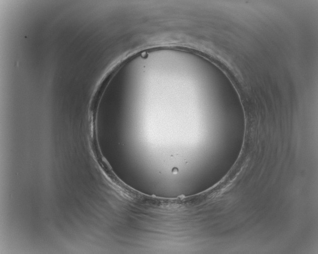 X0000073421509200608111337