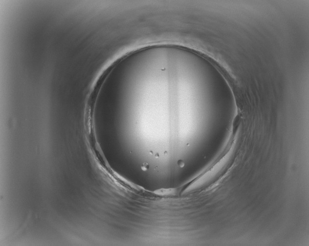 X0000073421510200608111337