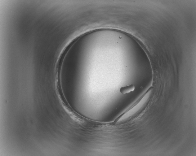 X0000073421511200608111337