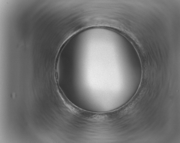 X0000073421513200608111337