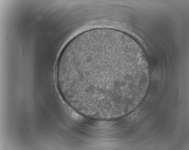 X0000073421514200608111337