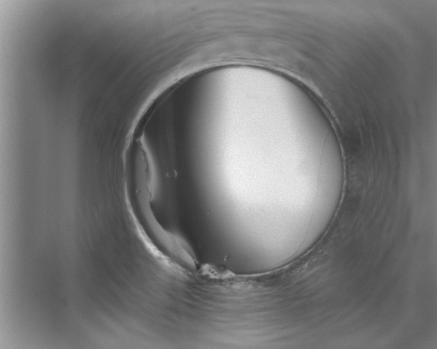 X0000073421515200608111337