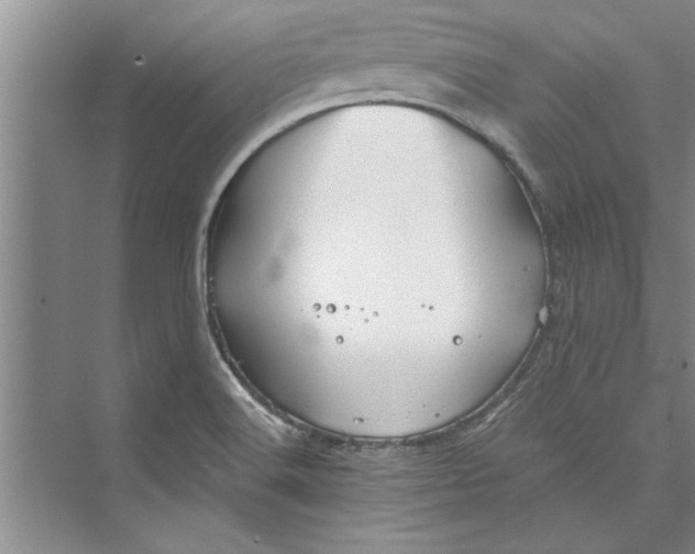 X0000073421516200608111338