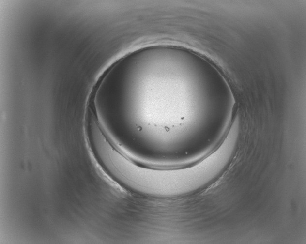 X0000073421518200608111338