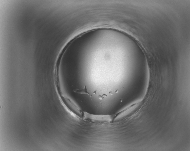 X0000073421519200608111338