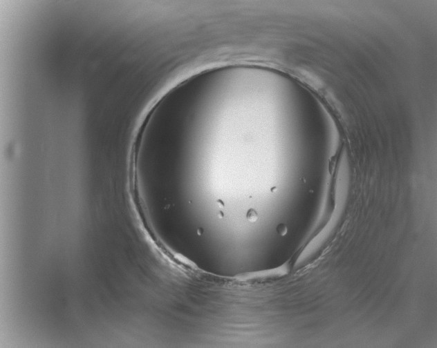 X0000073421520200608111338