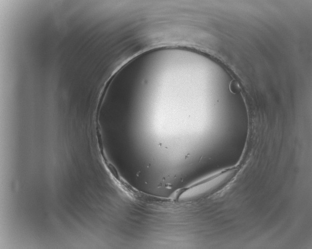 X0000073421521200608111338