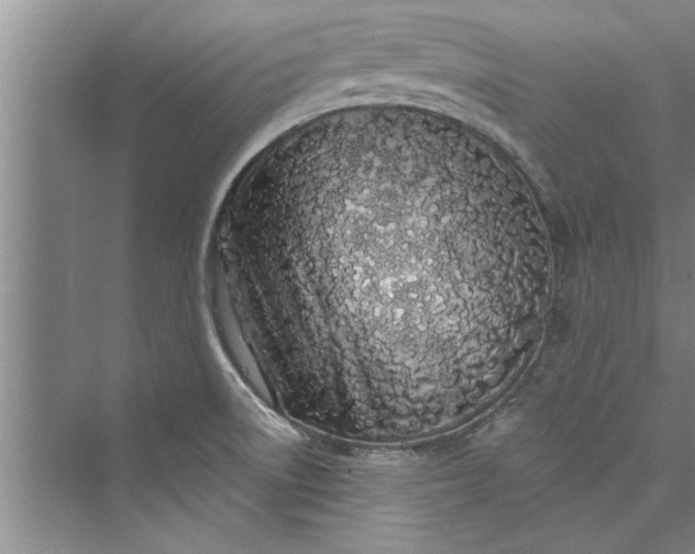 X0000073421522200608111338