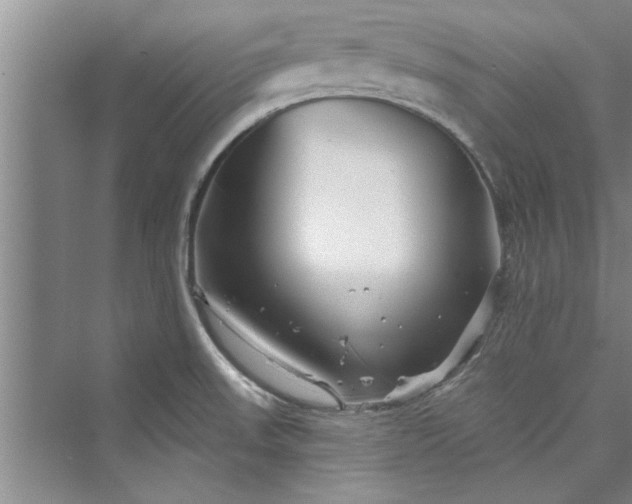 X0000073421523200608111338