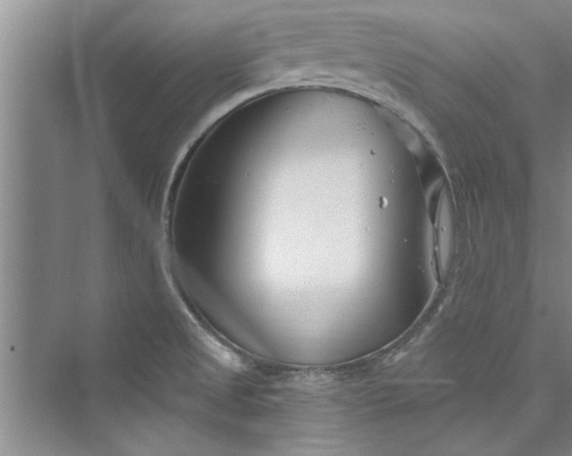 X0000073421525200608111338