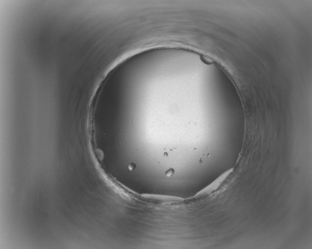 X0000073421526200608111338