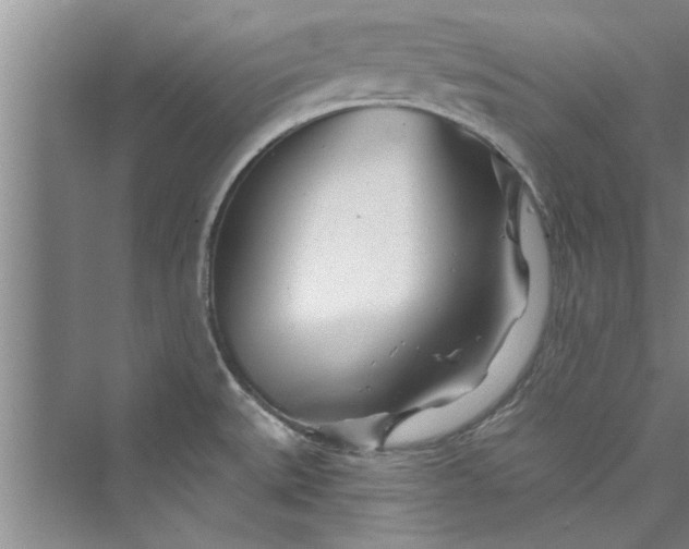 X0000073421527200608111338