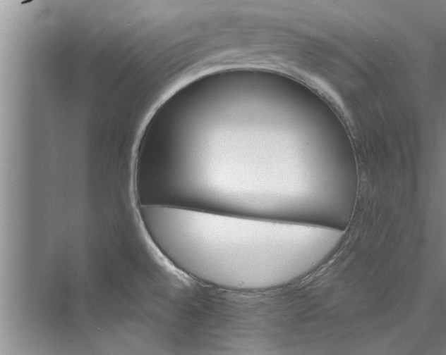 X0000073421528200608111338