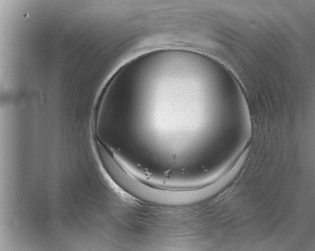 X0000073421531200608111338