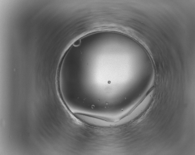 X0000073421533200608111338