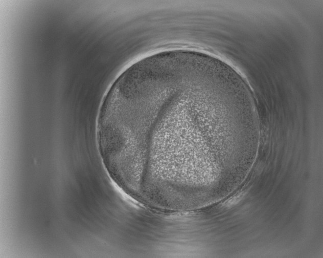 X0000073421535200608111338