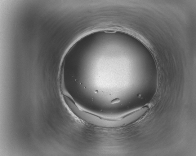 X0000073421536200608111338