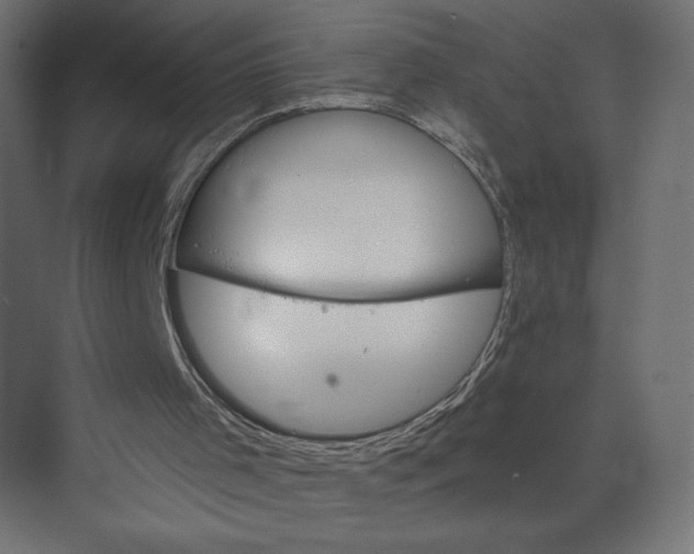 X0000073420001200608181133