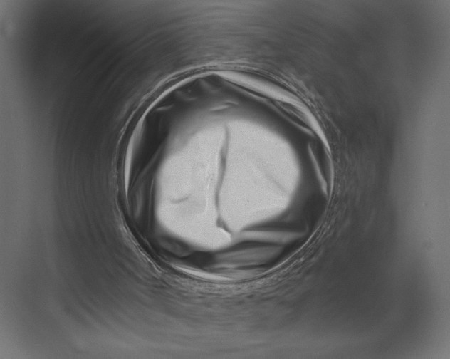 X0000073420002200608181133