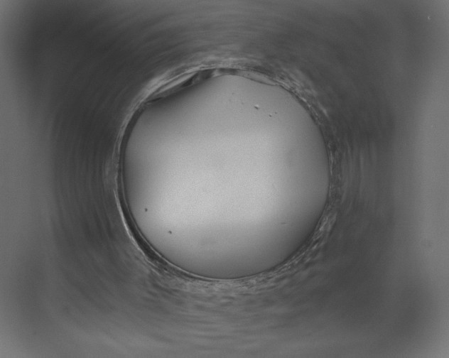 X0000073420003200608181133