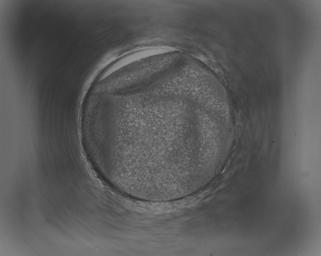 X0000073420006200608181133