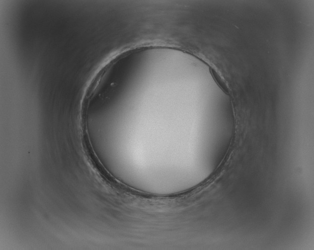 X0000073420008200608181133