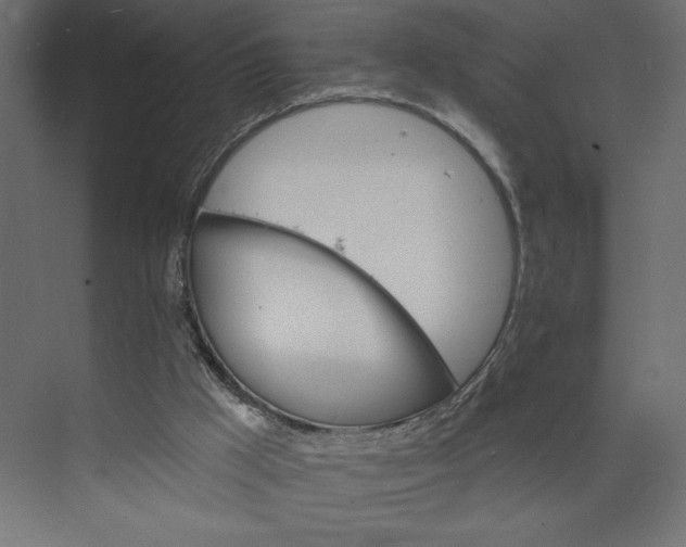 X0000073420009200608181133