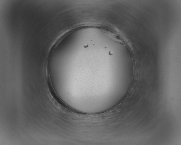 X0000073420011200608181133