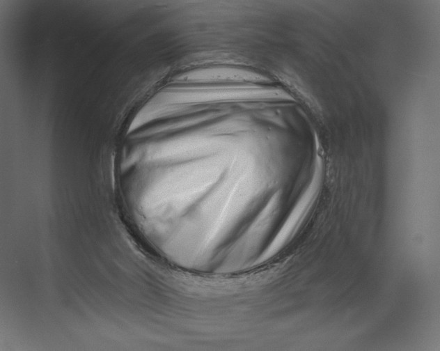 X0000073420014200608181133