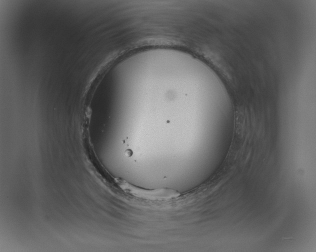 X0000073420015200608181133