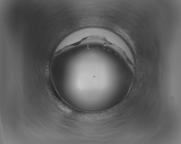 X0000073420017200608181133