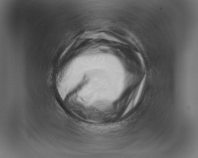 X0000073420018200608181133