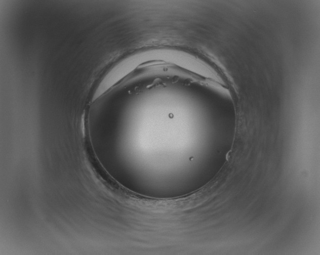 X0000073420019200608181133