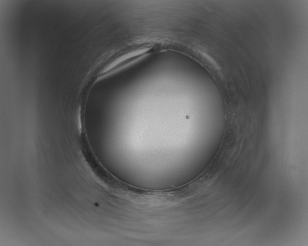 X0000073420020200608181133