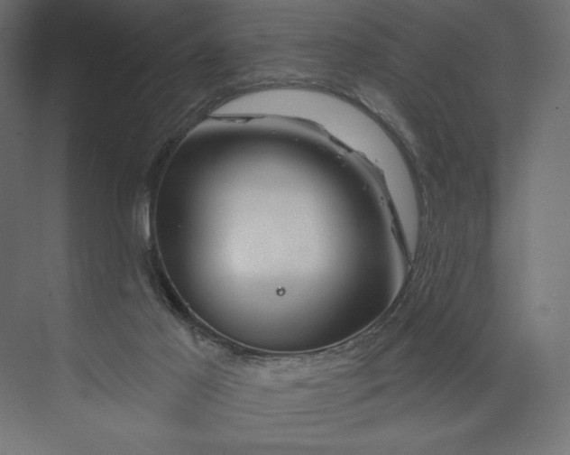 X0000073420021200608181133