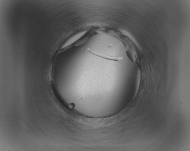 X0000073420023200608181133