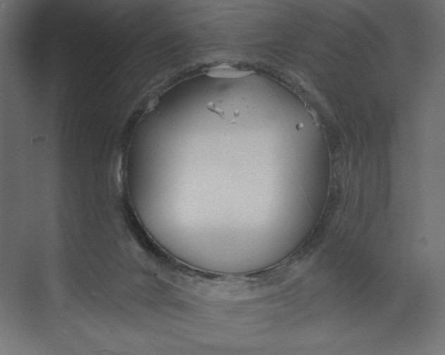 X0000073420024200608181133