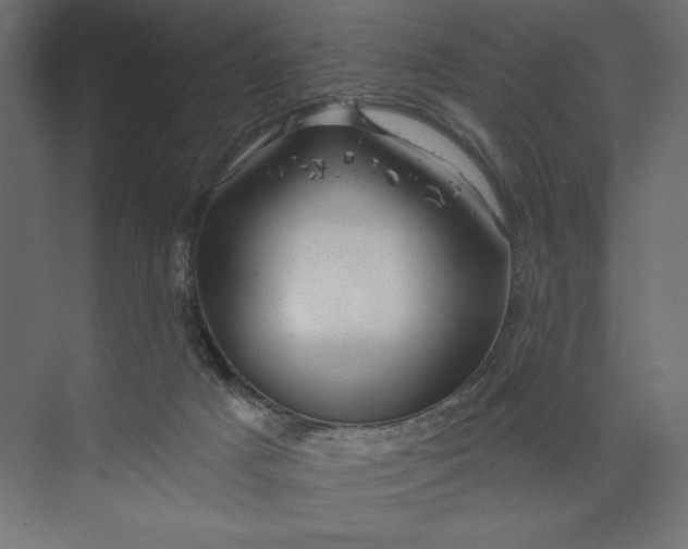 X0000073420025200608181133