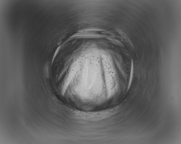 X0000073420026200608181133