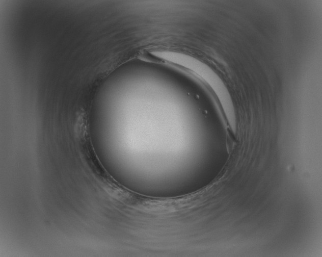 X0000073420029200608181133