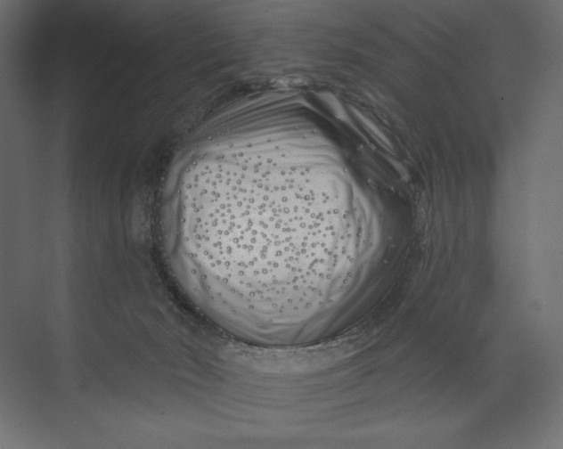 X0000073420030200608181132