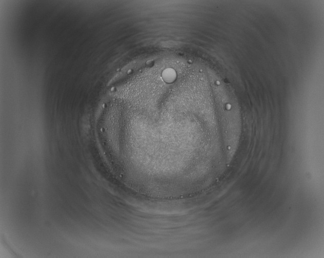 X0000073420032200608181132