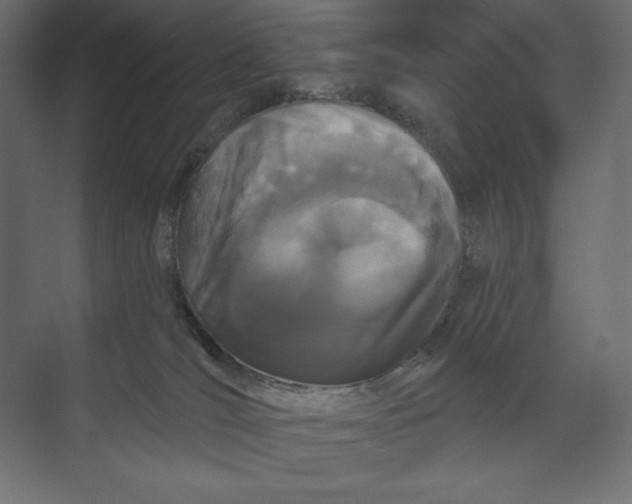 X0000073420036200608181132