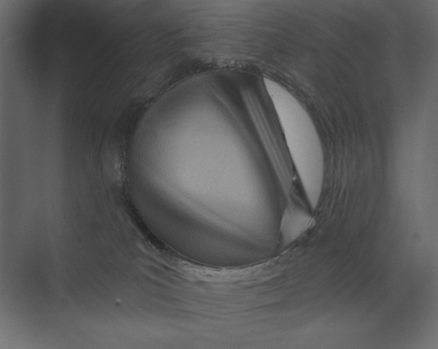 X0000073420039200608181132