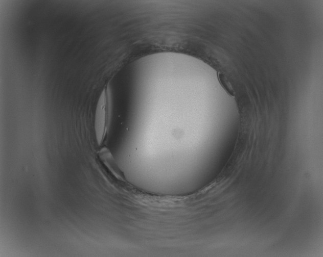 X0000073420040200608181132