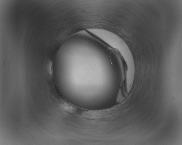 X0000073420041200608181132