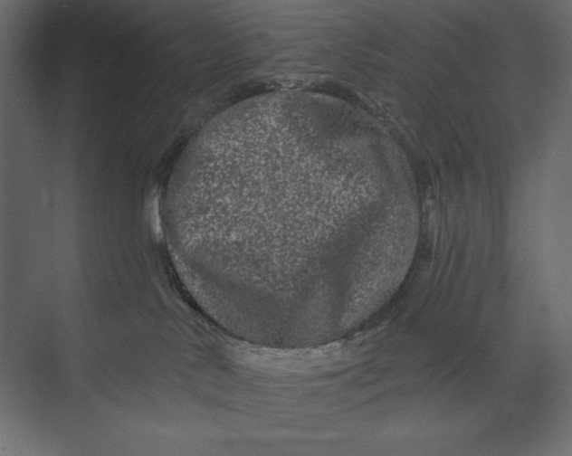 X0000073420042200608181132