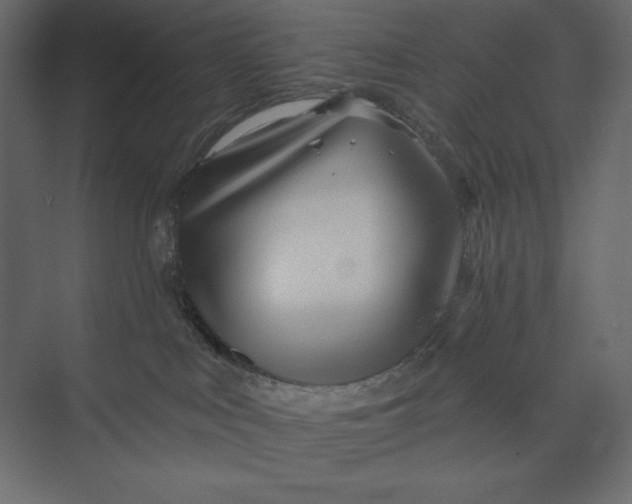 X0000073420043200608181132